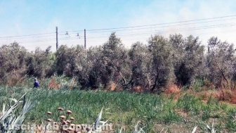 Grosseto-Montalto - Incendio sulla linea ferroviaria Tirrenica