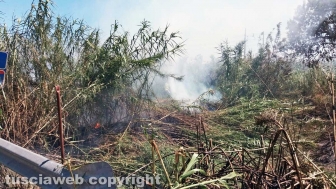 Grosseto-Montalto - Incendio sulla linea ferroviaria Tirrenica