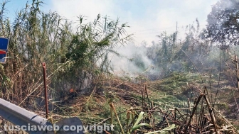 Grosseto-Montalto - Incendio sulla linea ferroviaria Tirrenica