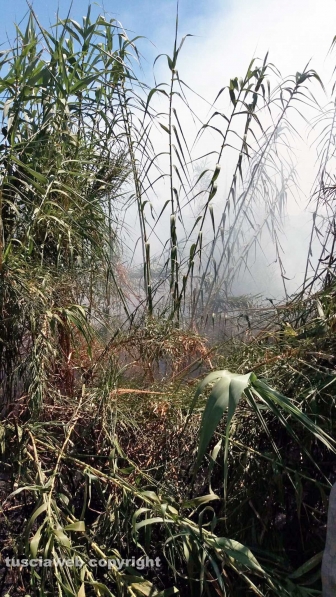 Grosseto-Montalto - Incendio sulla linea ferroviaria Tirrenica