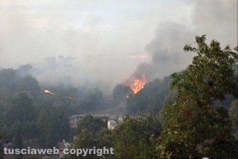 Incendio tra Farnese e Ischia di Castro