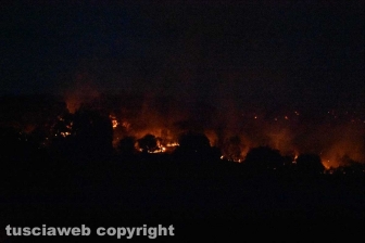 Incendio tra Farnese e Ischia di Castro