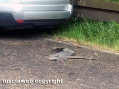 Le immagini dello schianto