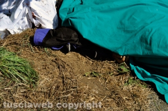 Incidente mortale sulla Flaminia - Foto Daniele Camilli