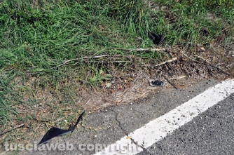Incidente mortale sulla Flaminia - Foto Daniele Camilli