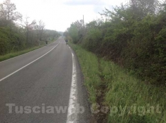 Il km 6,500 in cui è avvenuto lo schianto mortale