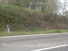 Il km 6,500 in cui è avvenuto lo schianto mortale