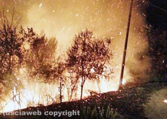 Inferno di fuoco tra Farnese e Ischia durante la notte