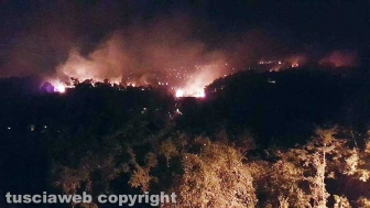 Inferno di fuoco tra Farnese e Ischia durante la notte