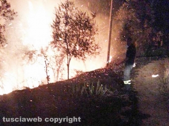 Inferno di fuoco tra Farnese e Ischia durante la notte