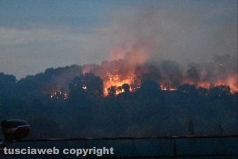 Inferno di fuoco tra Farnese e Ischia durante la notte