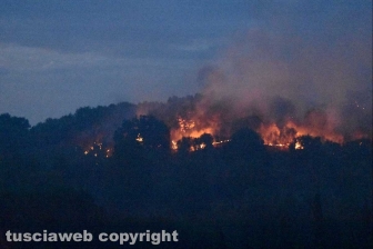 Inferno di fuoco tra Farnese e Ischia durante la notte