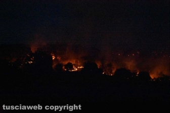 Inferno di fuoco tra Farnese e Ischia durante la notte