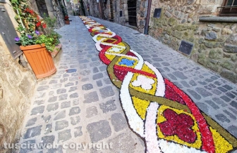Bolsena - Infiorata 2023