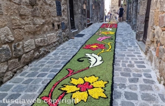 Bolsena - Infiorata 2023