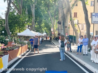 Bolsena - La 25esima edizione della festa delle ortensie