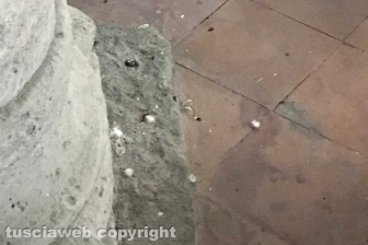 La basilica di Tuscania ridotta a piccionaia
