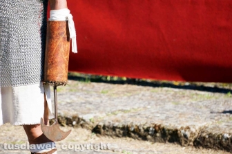 La battaglia di Ferento
