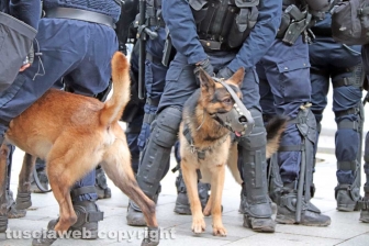 La battaglia di Parigi - 8 dicembre - Foto Daniele Camilli