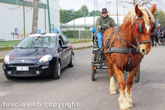 La benedizione degli animali