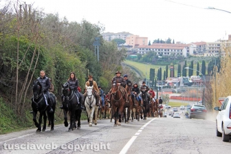 La benedizione degli animali