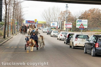 La benedizione degli animali