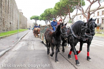 La benedizione degli animali