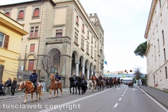 La benedizione degli animali