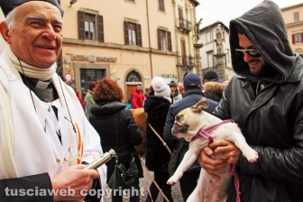 La benedizione degli animali