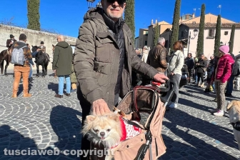 Viterbo - La benedizione degli animali per Sant'Antonio abate