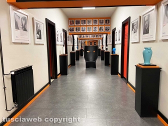 La biblioteca provinciale