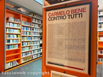 La biblioteca provinciale