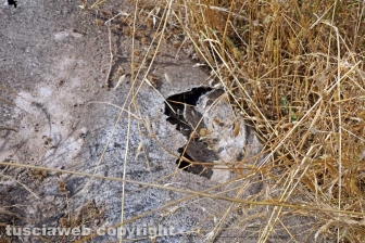 La bomba ecologica della discarica del Cinelli