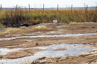 La bomba ecologica della discarica del Cinelli
