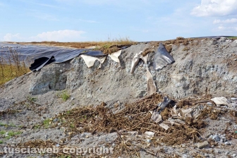 La bomba ecologica della discarica del Cinelli