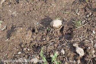 La bomba ecologica della discarica del Cinelli