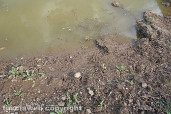 La bomba ecologica della discarica del Cinelli