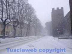 La bufera di neve a Viterbo - ore 9,20 - foto Giuseppe Ferlicca