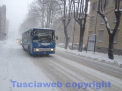 La bufera di neve a Viterbo - ore 9,20 - foto Giuseppe Ferlicca