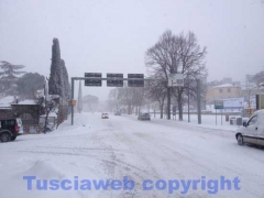 La bufera di neve a Viterbo - ore 9,20 - foto Giuseppe Ferlicca