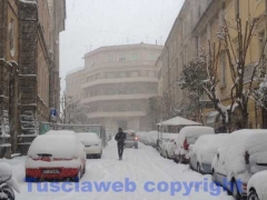 La bufera di neve a Viterbo - ore 9,20 - foto Giuseppe Ferlicca