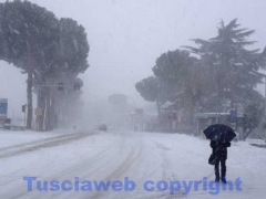 La bufera di neve a Viterbo - ore 9,20 - foto Giuseppe Ferlicca
