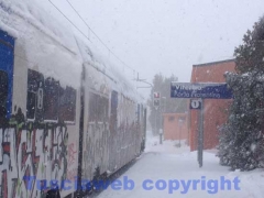 La bufera di neve a Viterbo - ore 9,20 - foto Giuseppe Ferlicca