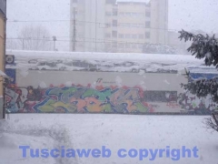La bufera di neve a Viterbo - ore 9,20 - foto Giuseppe Ferlicca
