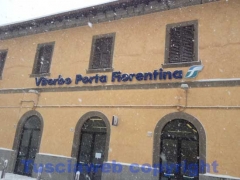 La bufera di neve a Viterbo - ore 9,20 - foto Giuseppe Ferlicca