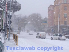 La bufera di neve a Viterbo - ore 9,20 - foto Giuseppe Ferlicca