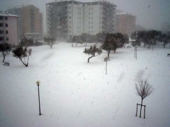 Viterbo - Santa Barbara - Claudia