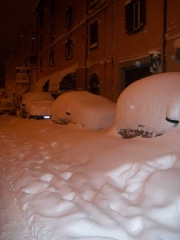 Viterbo - Luciano Ceccarelli