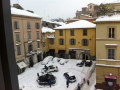 Viterbo - Alessandro Franconeri