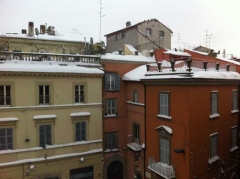 Viterbo - Alessandro Franconeri